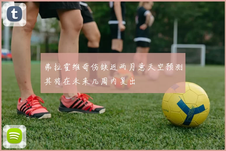 弗拉霍维奇伤缺近两月意天空预测其将在未来几周内复出