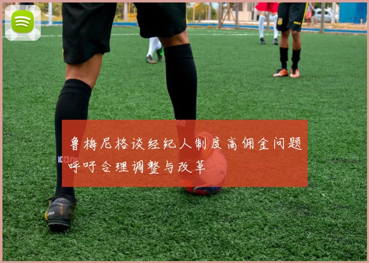 鲁梅尼格谈经纪人制度高佣金问题呼吁合理调整与改革