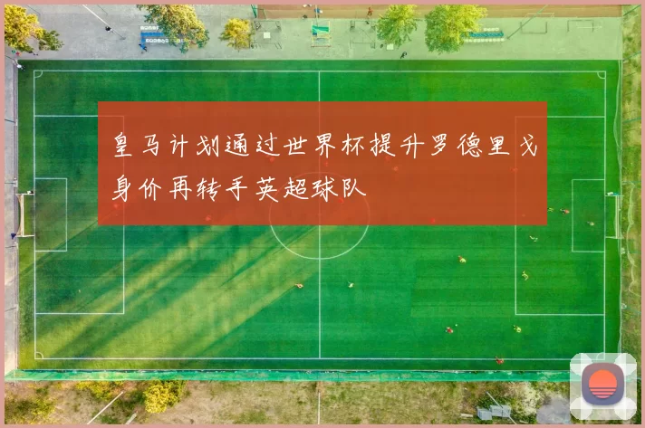皇马计划通过世界杯提升罗德里戈身价再转手英超球队